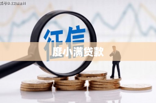 蓬溪度小满贷款