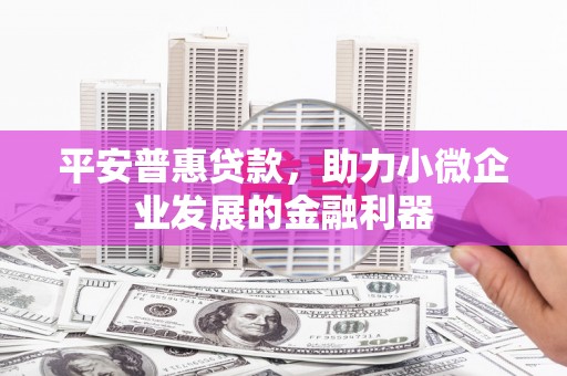 蓬溪平安普惠贷款，助力小微企业发展的金融利器