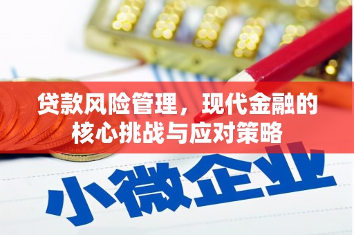 蓬溪贷款风险管理，现代金融的核心挑战与应对策略