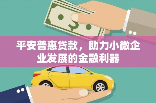 蓬溪平安普惠贷款，助力小微企业发展的金融利器