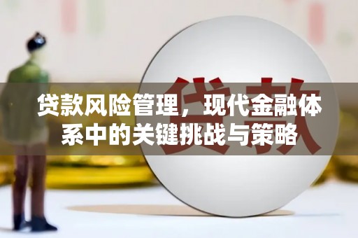 蓬溪贷款风险管理，现代金融体系中的关键挑战与策略