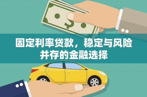 蓬溪固定利率贷款，稳定与风险并存的金融选择