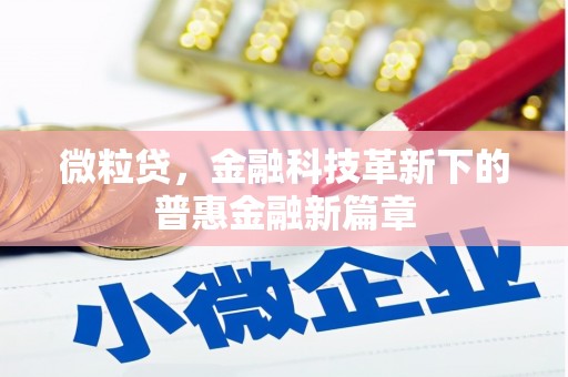 蓬溪微粒贷，金融科技革新下的普惠金融新篇章