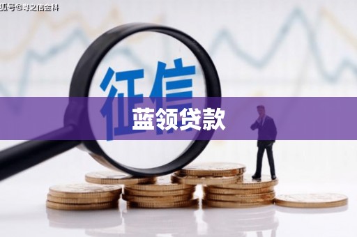 蓬溪蓝领贷款