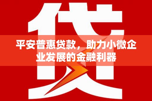 蓬溪平安普惠贷款，助力小微企业发展的金融利器