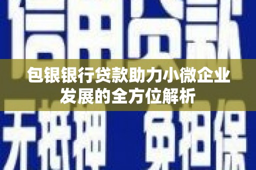 蓬溪包银银行贷款助力小微企业发展的全方位解析