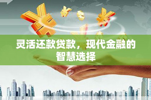 蓬溪灵活还款贷款，现代金融的智慧选择