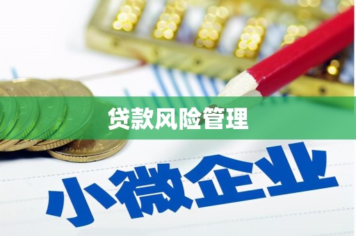 蓬溪贷款风险管理