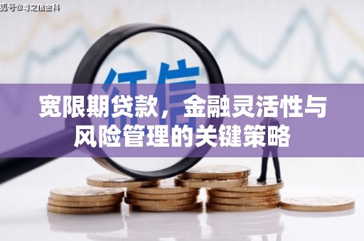 蓬溪宽限期贷款，金融灵活性与风险管理的关键策略
