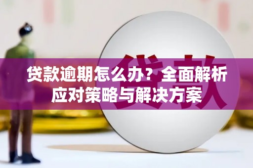 蓬溪贷款逾期怎么办？全面解析应对策略与解决方案