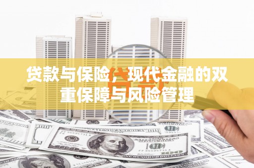 蓬溪贷款与保险，现代金融的双重保障与风险管理