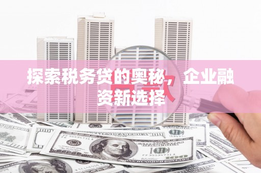 蓬溪探索税务贷的奥秘，企业融资新选择