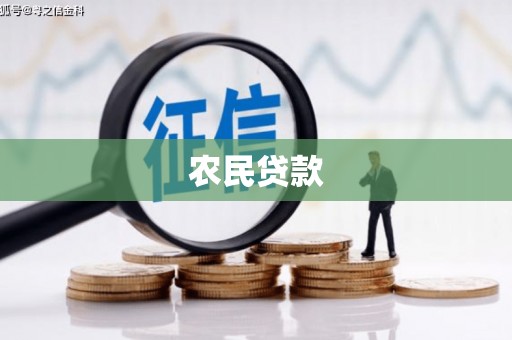 蓬溪农民贷款