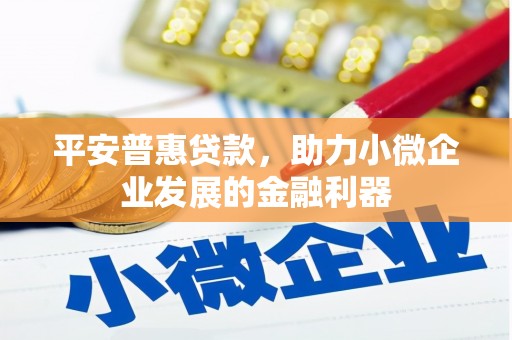 蓬溪平安普惠贷款，助力小微企业发展的金融利器