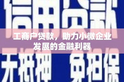 蓬溪工商户贷款，助力小微企业发展的金融利器