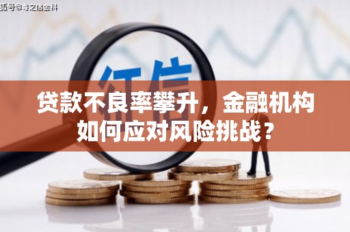 蓬溪贷款不良率攀升，金融机构如何应对风险挑战？
