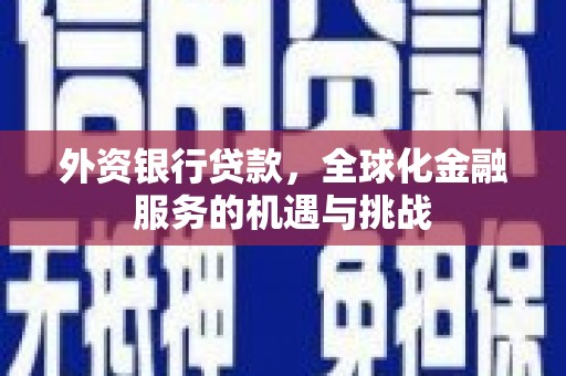 蓬溪外资银行贷款，全球化金融服务的机遇与挑战