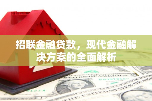 蓬溪招联金融贷款，现代金融解决方案的全面解析