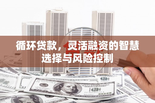 蓬溪循环贷款，灵活融资的智慧选择与风险控制