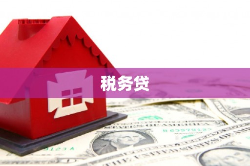 蓬溪税务贷