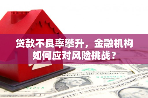 蓬溪贷款不良率攀升，金融机构如何应对风险挑战？