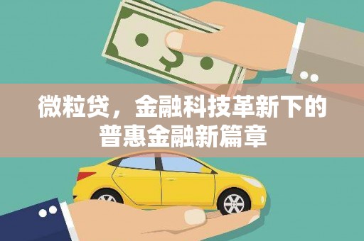 蓬溪微粒贷，金融科技革新下的普惠金融新篇章