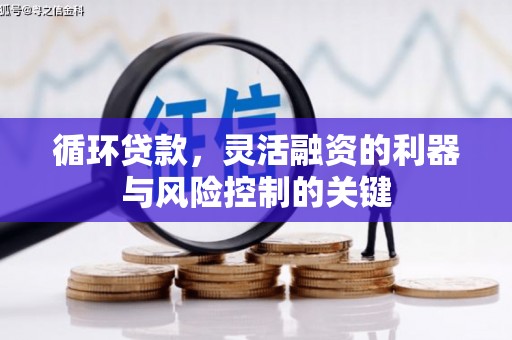 蓬溪循环贷款，灵活融资的利器与风险控制的关键