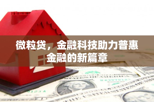 蓬溪微粒贷，金融科技助力普惠金融的新篇章