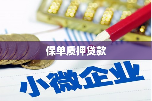 蓬溪保单质押贷款
