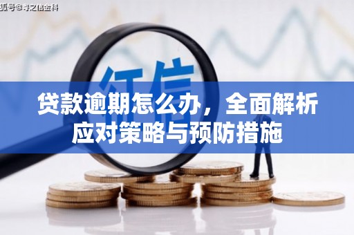 蓬溪贷款逾期怎么办，全面解析应对策略与预防措施