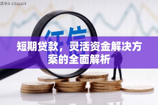 蓬溪短期贷款，灵活资金解决方案的全面解析