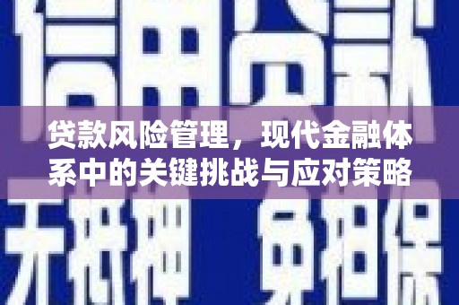 蓬溪贷款风险管理，现代金融体系中的关键挑战与应对策略