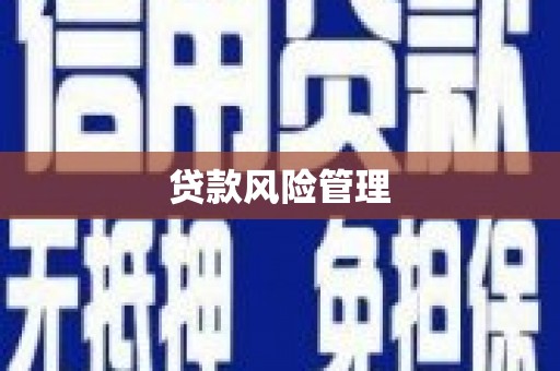 蓬溪贷款风险管理