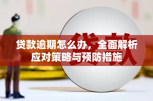 蓬溪贷款逾期怎么办，全面解析应对策略与预防措施