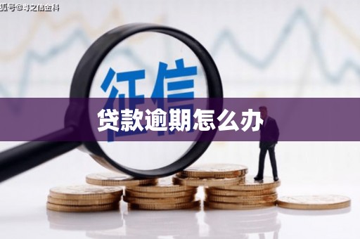 蓬溪贷款逾期怎么办