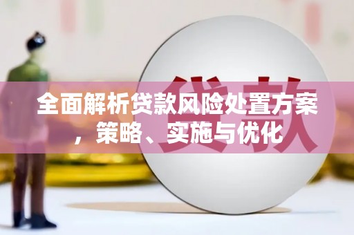蓬溪全面解析贷款风险处置方案，策略、实施与优化