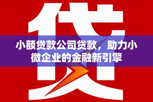 蓬溪小额贷款公司贷款，助力小微企业的金融新引擎