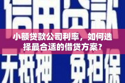 蓬溪小额贷款公司利率，如何选择最合适的借贷方案？