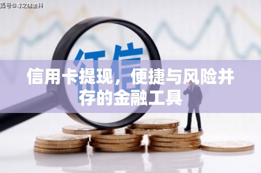 蓬溪信用卡提现，便捷与风险并存的金融工具