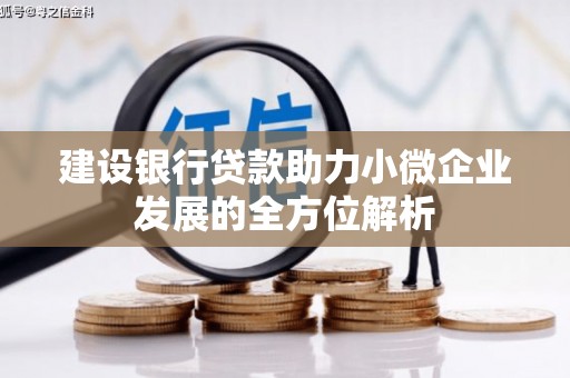 蓬溪建设银行贷款助力小微企业发展的全方位解析