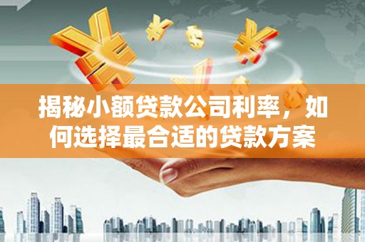 蓬溪揭秘小额贷款公司利率，如何选择最合适的贷款方案