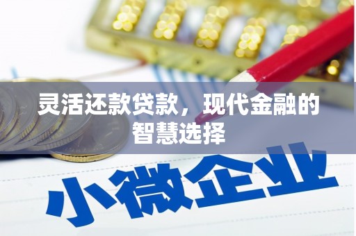 蓬溪灵活还款贷款，现代金融的智慧选择