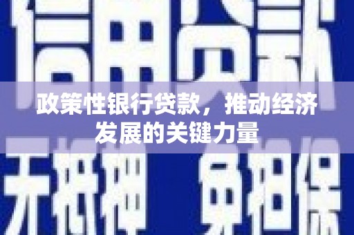 蓬溪政策性银行贷款，推动经济发展的关键力量