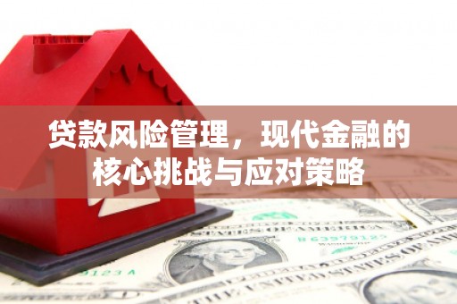 蓬溪贷款风险管理，现代金融的核心挑战与应对策略