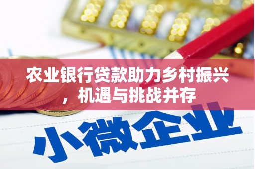 蓬溪农业银行贷款助力乡村振兴，机遇与挑战并存