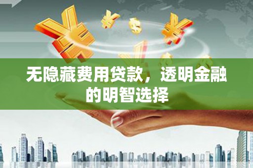 蓬溪无隐藏费用贷款，透明金融的明智选择