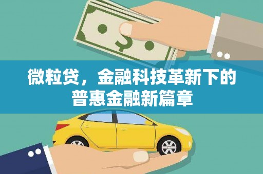 蓬溪微粒贷，金融科技革新下的普惠金融新篇章