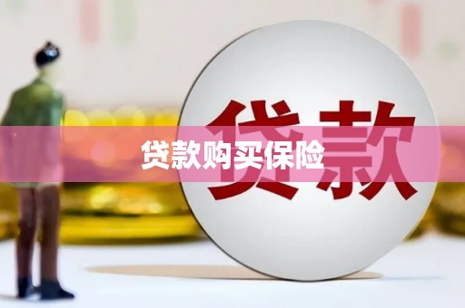蓬溪贷款购买保险