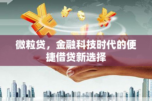 蓬溪微粒贷，金融科技时代的便捷借贷新选择
