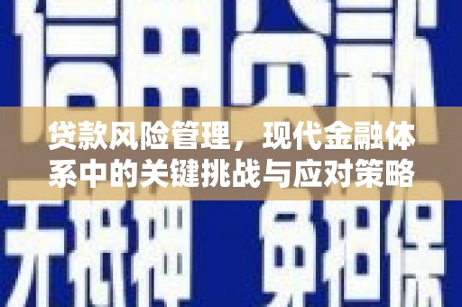 蓬溪贷款风险管理，现代金融体系中的关键挑战与应对策略